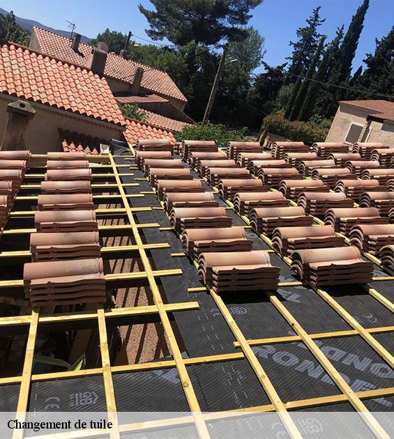 changement-de-tuile-3