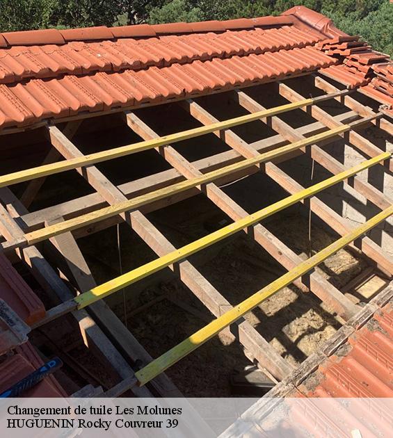 changement-de-tuile-1