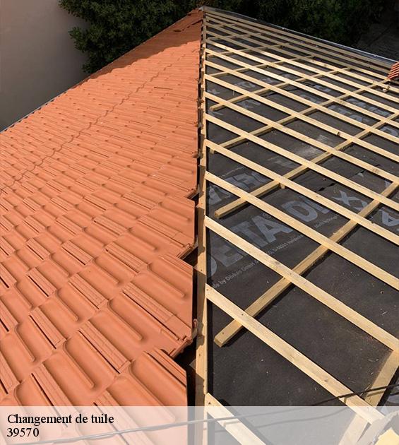 changement-de-tuile-2
