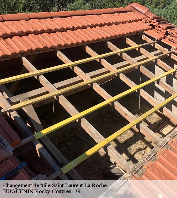 changement-de-tuile-1