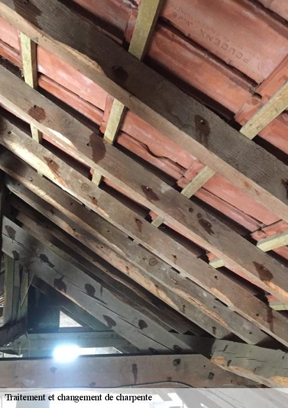 traitement-et-changement-de-charpente-3