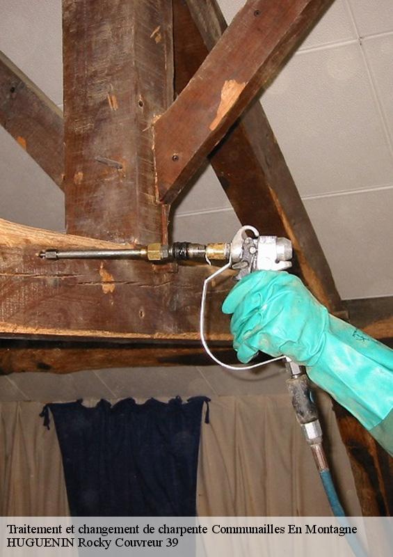 traitement-et-changement-de-charpente-1