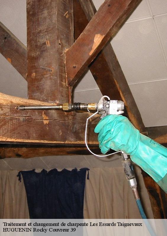 traitement-et-changement-de-charpente-1