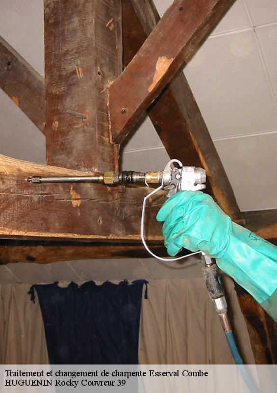 traitement-et-changement-de-charpente-1