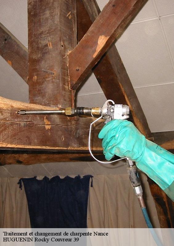 traitement-et-changement-de-charpente-1