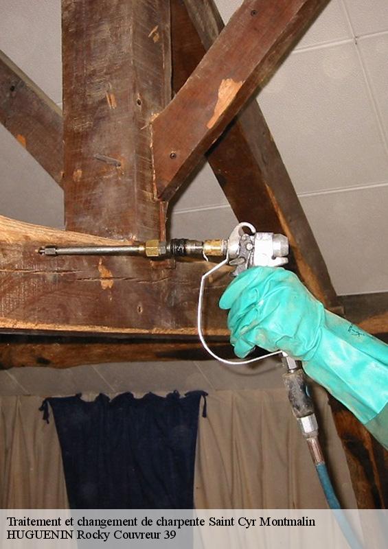 traitement-et-changement-de-charpente-1