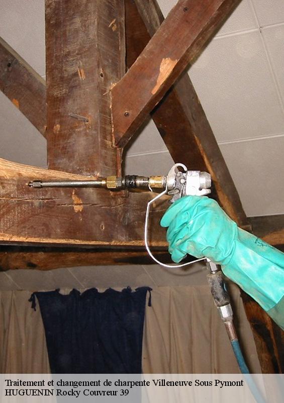 traitement-et-changement-de-charpente-1