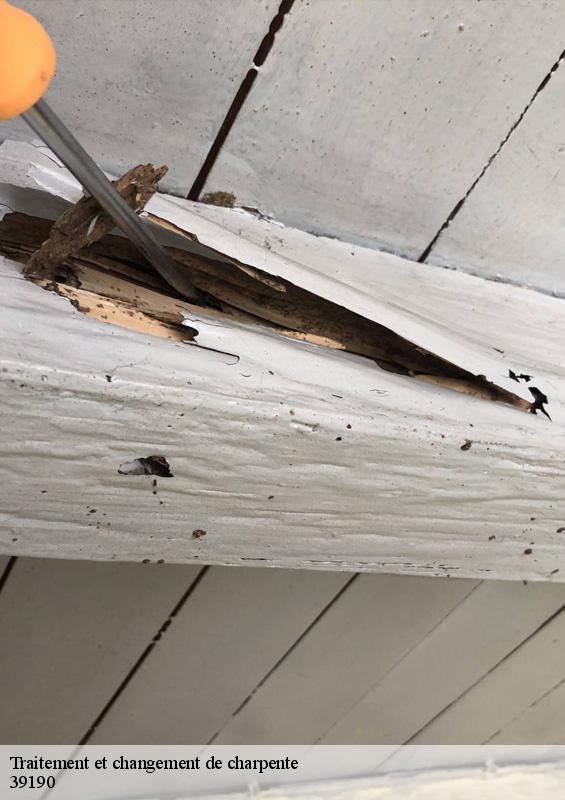 traitement-et-changement-de-charpente-2