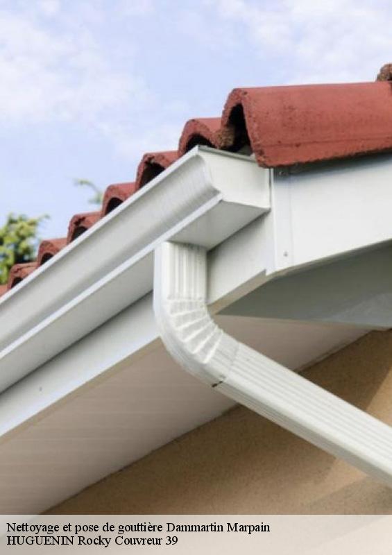 nettoyage-et-pose-de-gouttiere-1