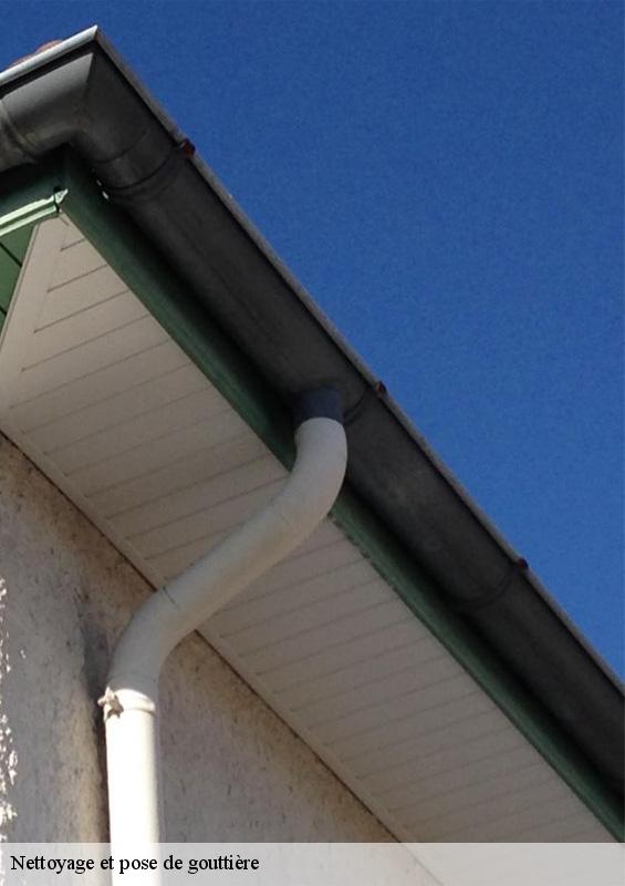 nettoyage-et-pose-de-gouttiere-3