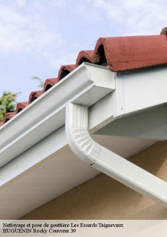 nettoyage-et-pose-de-gouttiere-1
