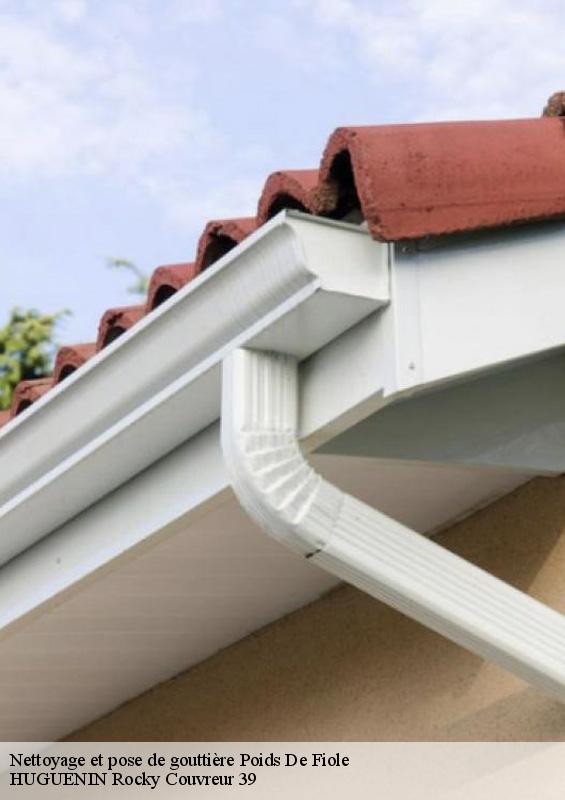 nettoyage-et-pose-de-gouttiere-1