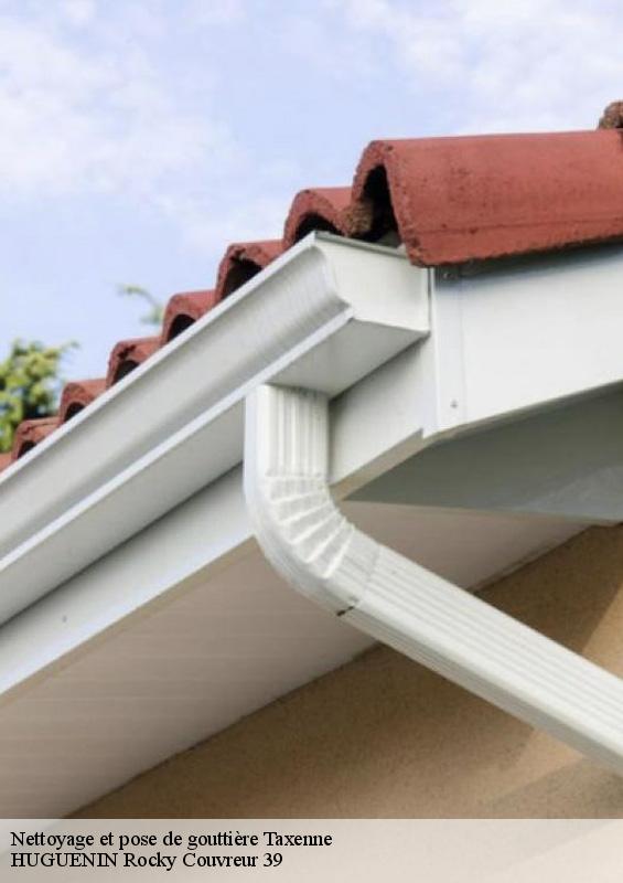 nettoyage-et-pose-de-gouttiere-1