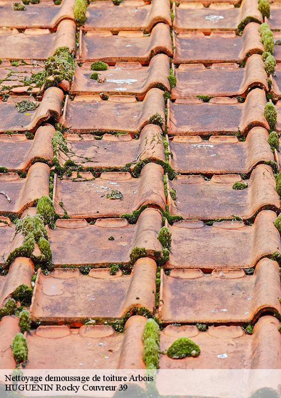 nettoyage-demoussage-de-toiture-1