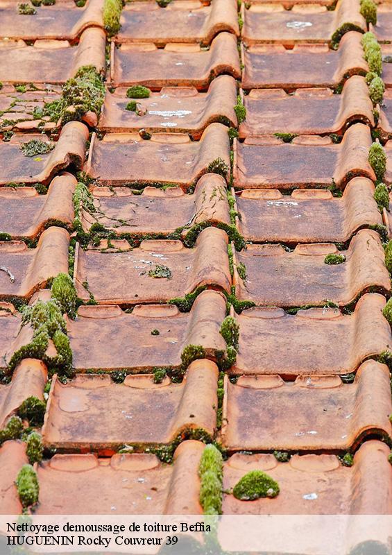 nettoyage-demoussage-de-toiture-1