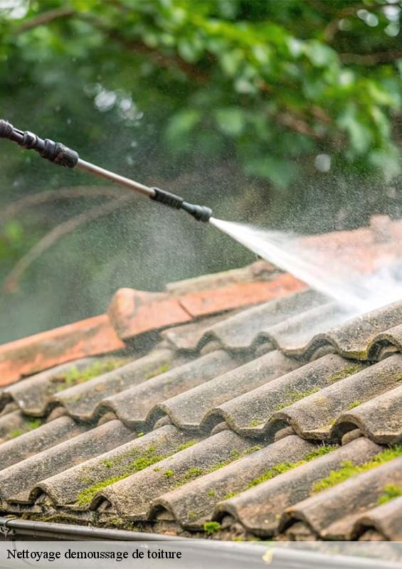 nettoyage-demoussage-de-toiture-3