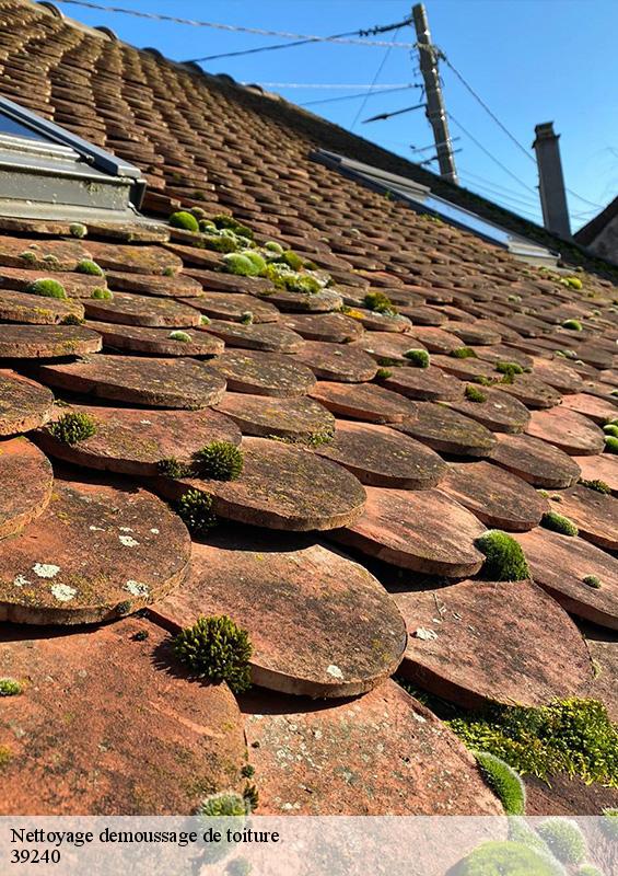 nettoyage-demoussage-de-toiture-2
