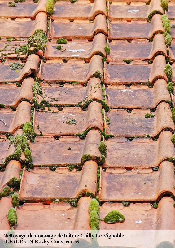 nettoyage-demoussage-de-toiture-1