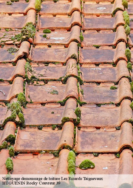 nettoyage-demoussage-de-toiture-1