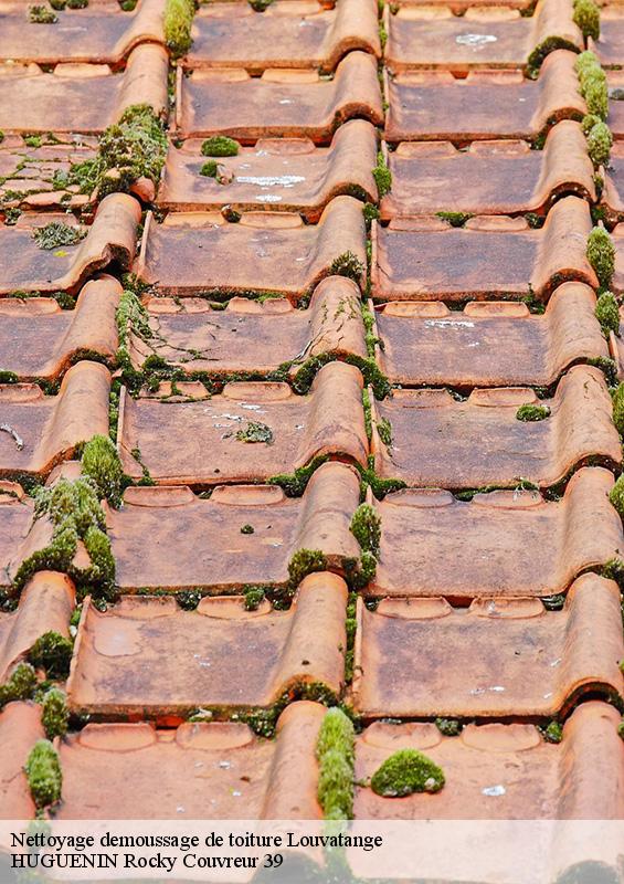 nettoyage-demoussage-de-toiture-1