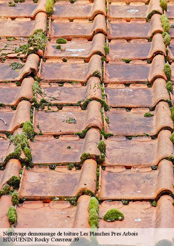 nettoyage-demoussage-de-toiture-1