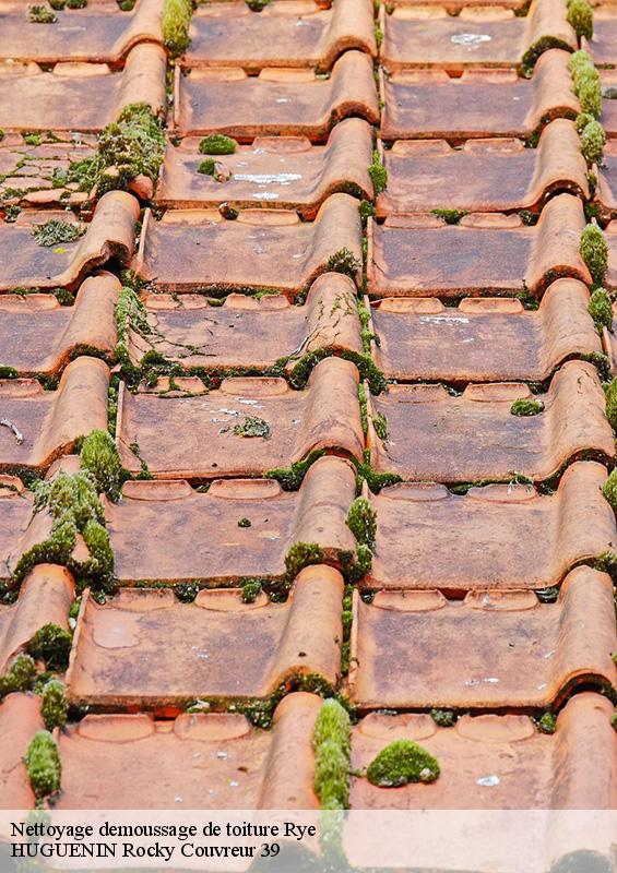 nettoyage-demoussage-de-toiture-1