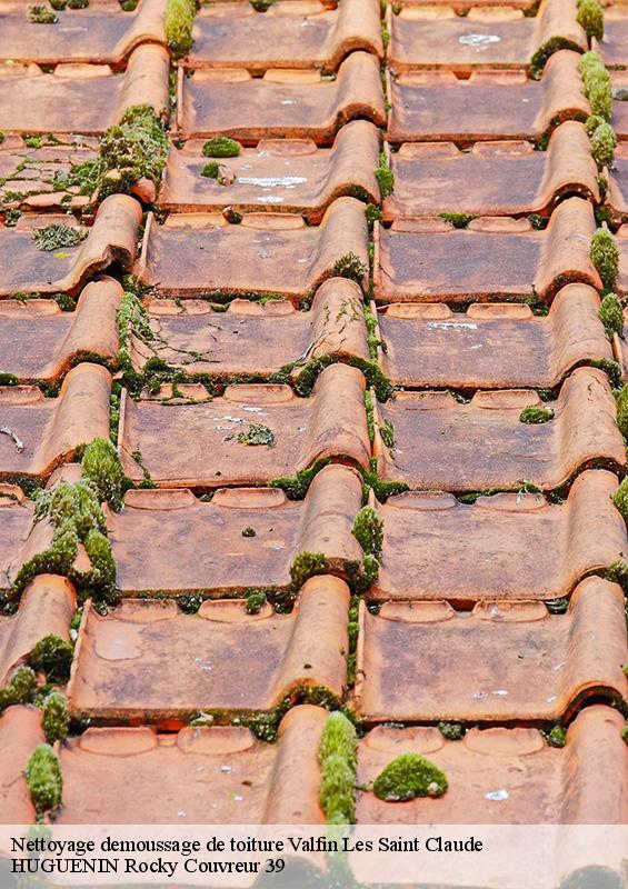 nettoyage-demoussage-de-toiture-1