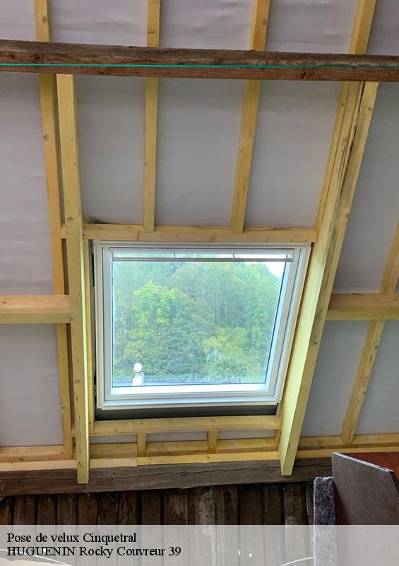 pose-de-velux-1