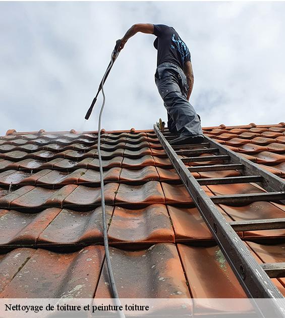 nettoyage-de-toiture-et-peinture-toiture-3