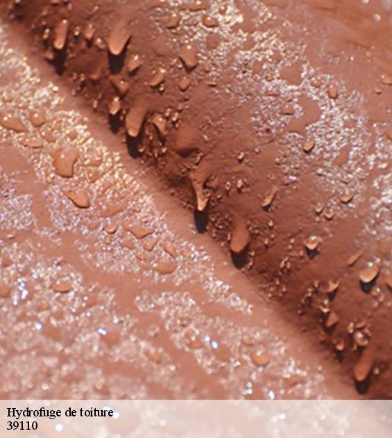 hydrofuge-de-toiture-2