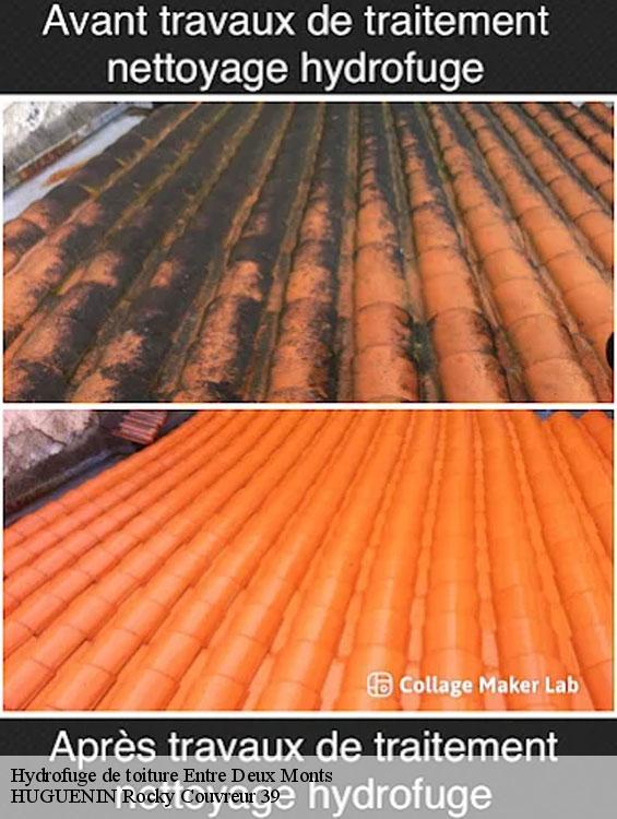 hydrofuge-de-toiture-1