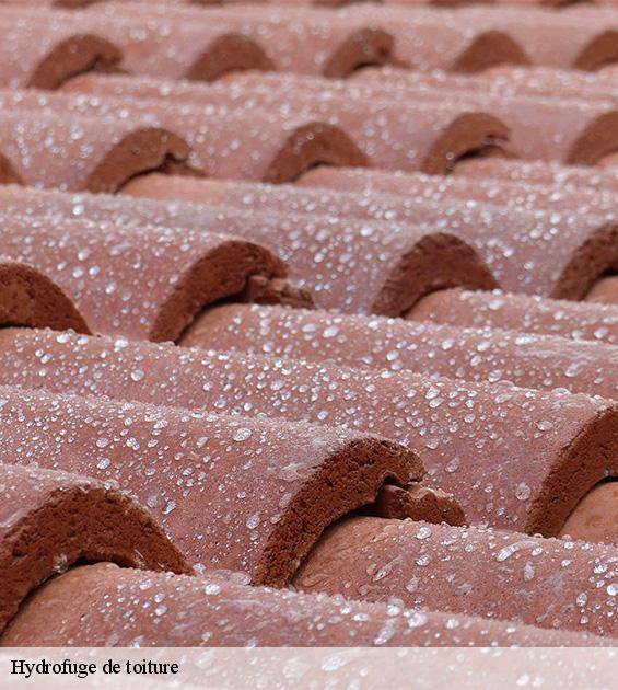 hydrofuge-de-toiture-3