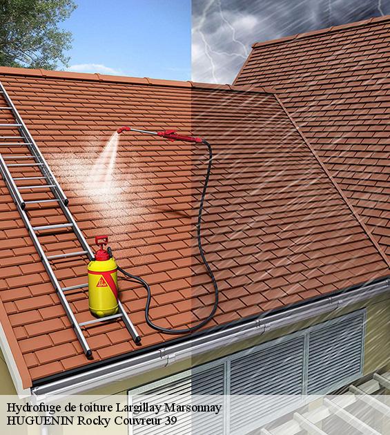 hydrofuge-de-toiture-1