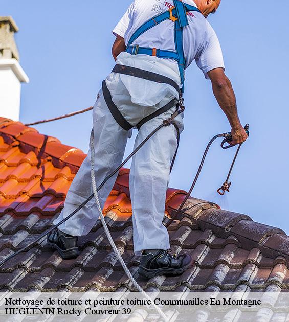 nettoyage-de-toiture-et-peinture-toiture-1