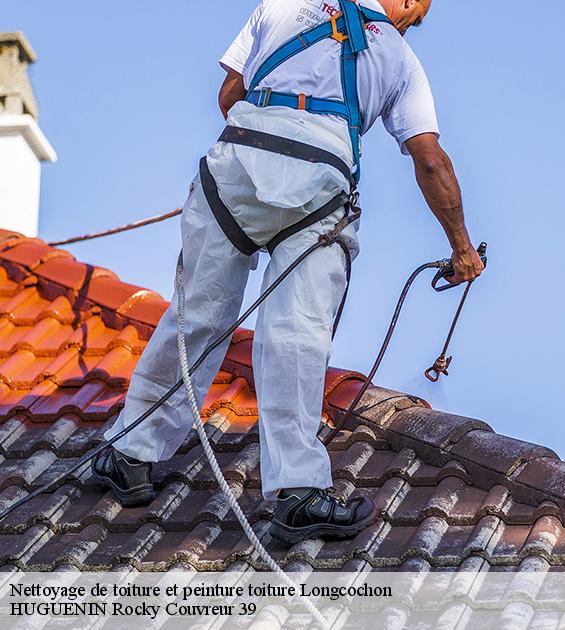 nettoyage-de-toiture-et-peinture-toiture-1