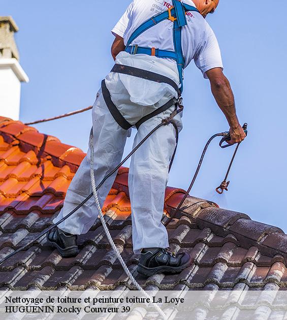 nettoyage-de-toiture-et-peinture-toiture-1