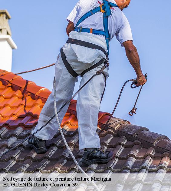 nettoyage-de-toiture-et-peinture-toiture-1