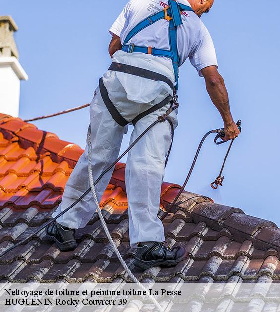 nettoyage-de-toiture-et-peinture-toiture-1