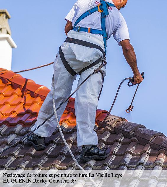 nettoyage-de-toiture-et-peinture-toiture-1