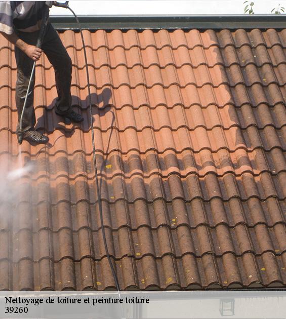 nettoyage-de-toiture-et-peinture-toiture-2