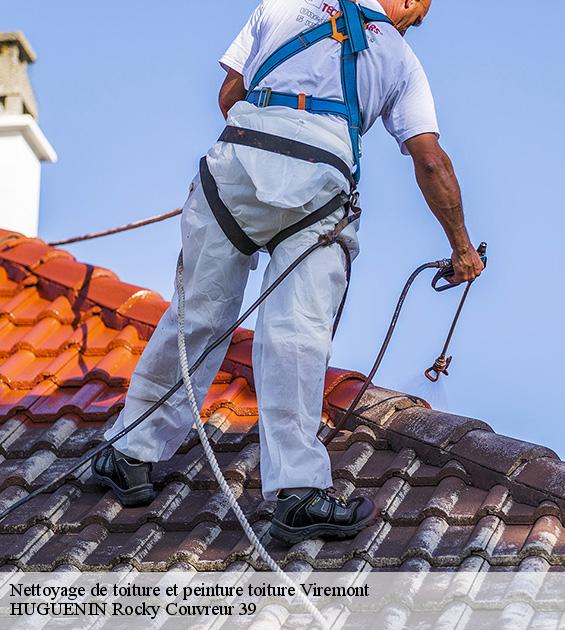 nettoyage-de-toiture-et-peinture-toiture-1