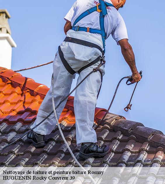 nettoyage-de-toiture-et-peinture-toiture-1